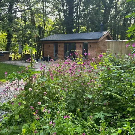 Roe Deer With Wood-fired Hot Tub - Alum House Litlebeck,